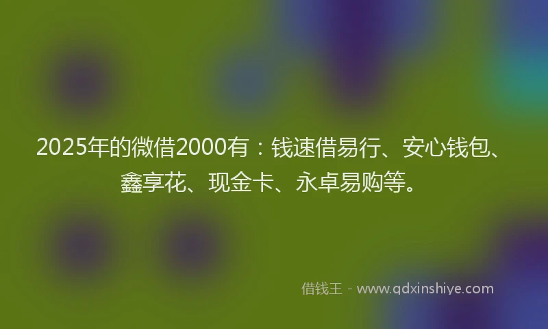 2025年的微借2000有：钱速借易行、安心钱包、鑫享花、现金卡、永卓易购等。