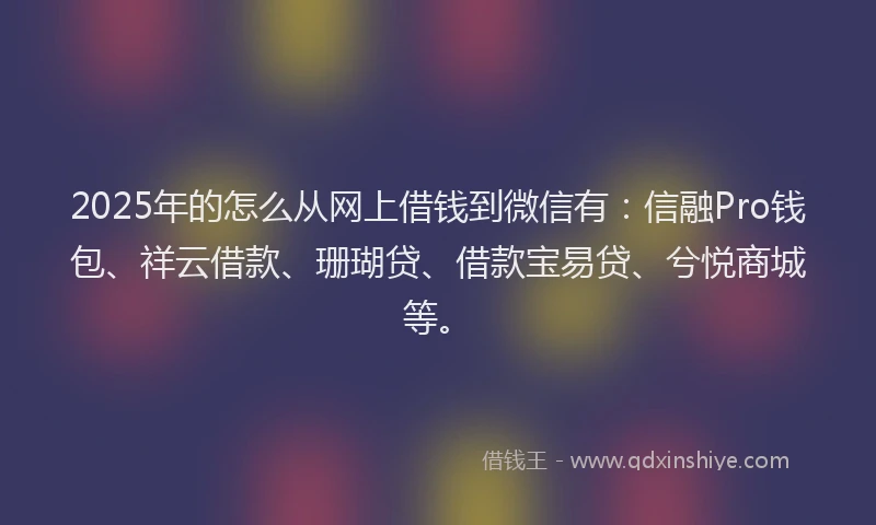2025年的怎么从网上借钱到微信有：信融Pro钱包、祥云借款、珊瑚贷、借款宝易贷、兮悦商城等。