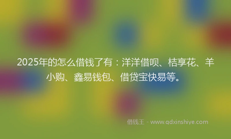 2025年的怎么借钱了有：洋洋借呗、桔享花、羊小购、鑫易钱包、借贷宝快易等。