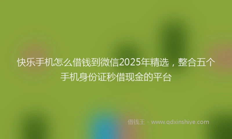 快乐手机怎么借钱到微信2025年精选，整合五个手机身份证秒借现金的平台