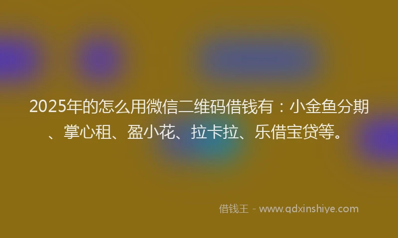 2025年的怎么用微信二维码借钱有：小金鱼分期、掌心租、盈小花、拉卡拉、乐借宝贷等。