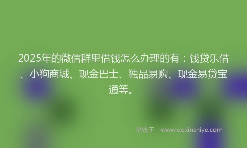 2025年的微信群里借钱怎么办理的有：钱贷乐借、小狗商城、现金巴士、独品易购、现金易贷宝通等。