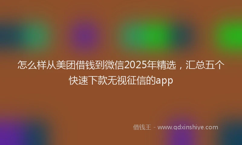 怎么样从美团借钱到微信2025年精选，汇总五个快速下款无视征信的app