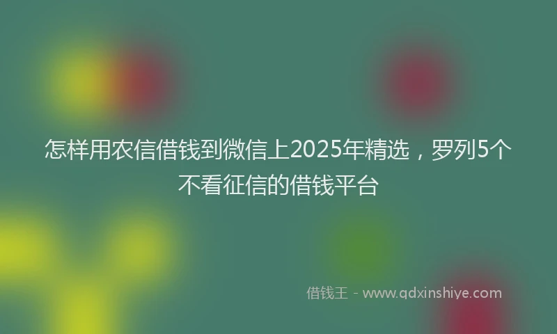 怎样用农信借钱到微信上2025年精选，罗列5个不看征信的借钱平台
