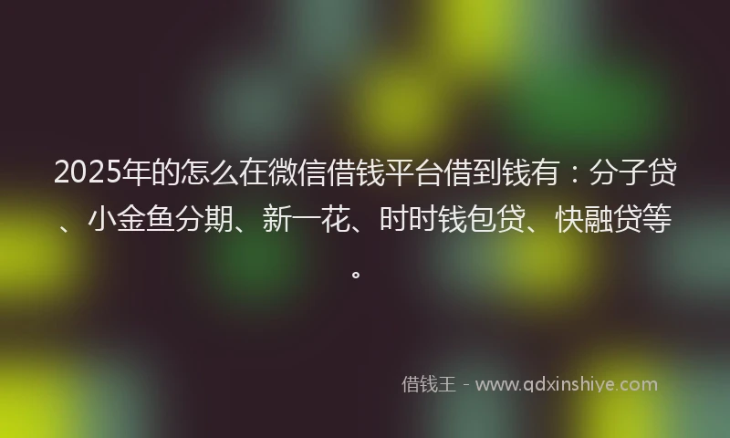 2025年的怎么在微信借钱平台借到钱有：分子贷、小金鱼分期、新一花、时时钱包贷、快融贷等。