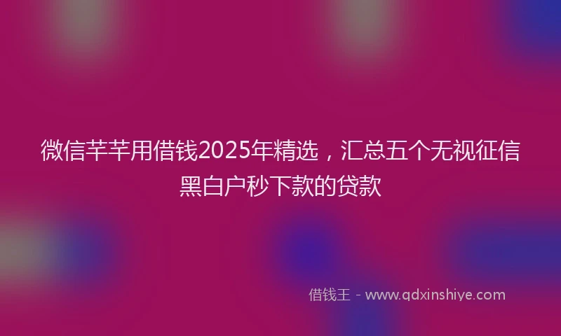 微信芊芊用借钱2025年精选，汇总五个无视征信黑白户秒下款的贷款