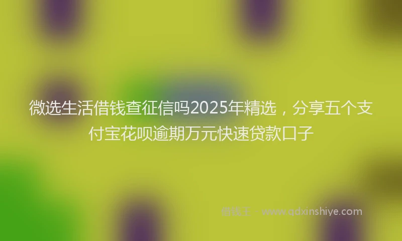 微选生活借钱查征信吗2025年精选，分享五个支付宝花呗逾期万元快速贷款口子