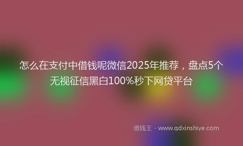 怎么在支付中借钱呢微信2025年推荐，盘点5个无视征信黑白100%秒下网贷平台