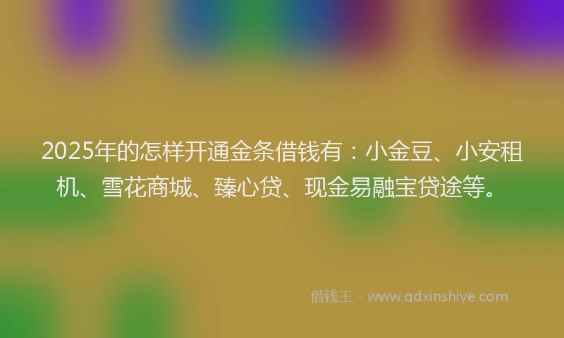 2025年的怎样开通金条借钱有：小金豆、小安租机、雪花商城、臻心贷、现金易融宝贷途等。