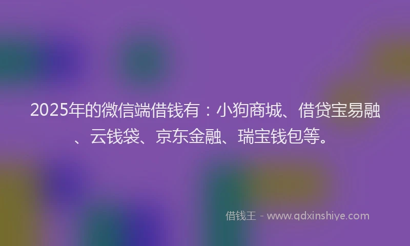 2025年的微信端借钱有：小狗商城、借贷宝易融、云钱袋、京东金融、瑞宝钱包等。