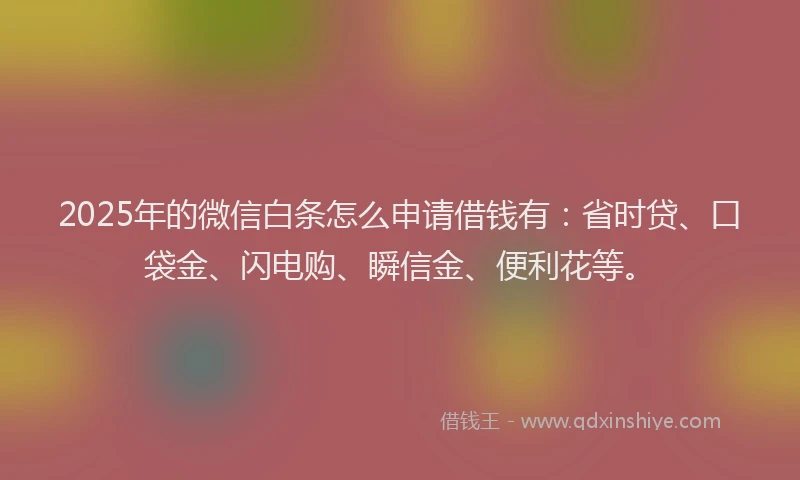 2025年的微信白条怎么申请借钱有：省时贷、口袋金、闪电购、瞬信金、便利花等。