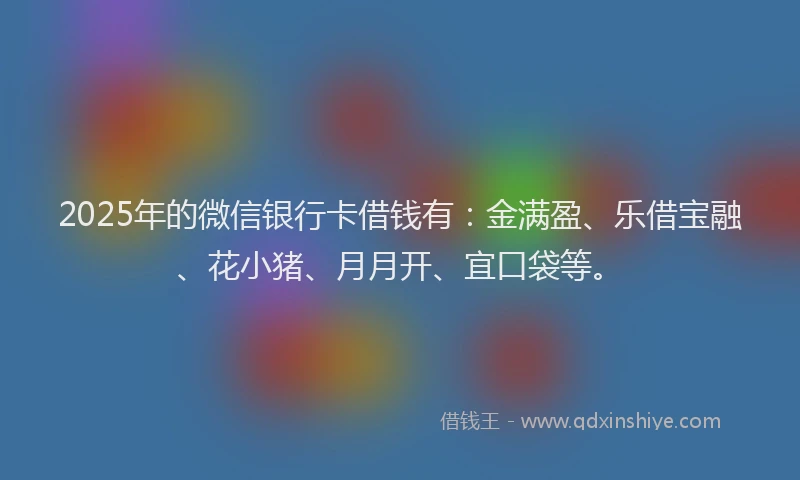 2025年的微信银行卡借钱有：金满盈、乐借宝融、花小猪、月月开、宜口袋等。