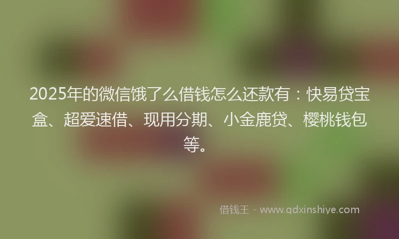 2025年的微信饿了么借钱怎么还款有：快易贷宝盒、超爱速借、现用分期、小金鹿贷、樱桃钱包等。