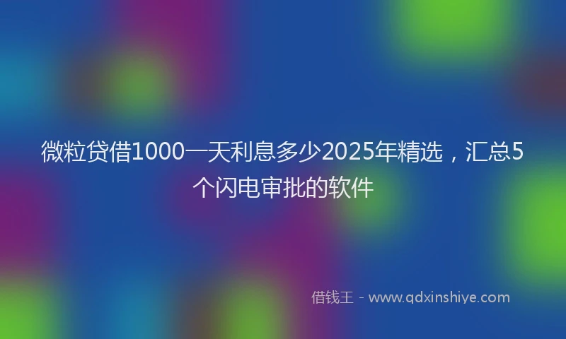 微粒贷借1000一天利息多少2025年精选，汇总5个闪电审批的软件
