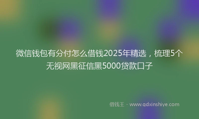 微信钱包有分付怎么借钱2025年精选，梳理5个无视网黑征信黑5000贷款口子