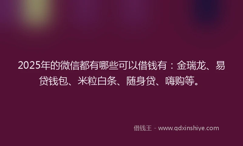 2025年的微信都有哪些可以借钱有：金瑞龙、易贷钱包、米粒白条、随身贷、嗨购等。