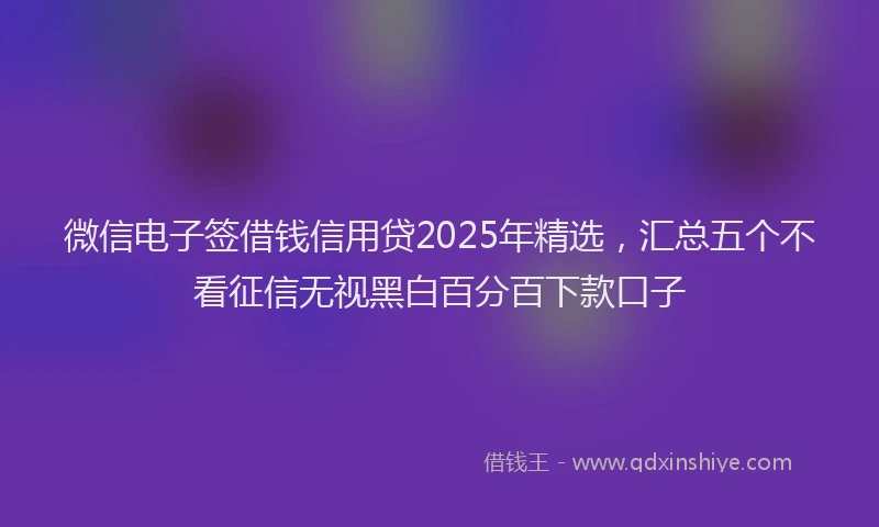 微信电子签借钱信用贷2025年精选，汇总五个不看征信无视黑白百分百下款口子