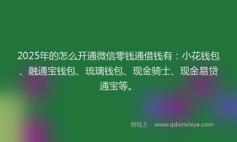 2025年的怎么开通微信零钱通借钱有：小花钱包、融通宝钱包、琉璃钱包、现金骑士、现金易贷通宝等。