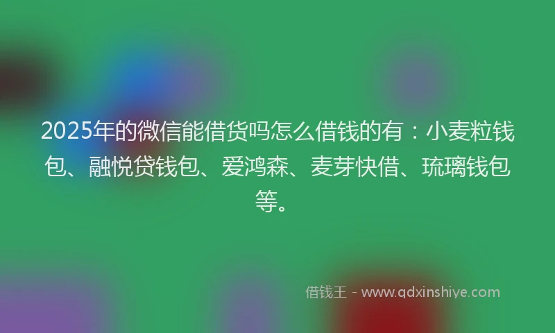 2025年的微信能借货吗怎么借钱的有：小麦粒钱包、融悦贷钱包、爱鸿森、麦芽快借、琉璃钱包等。