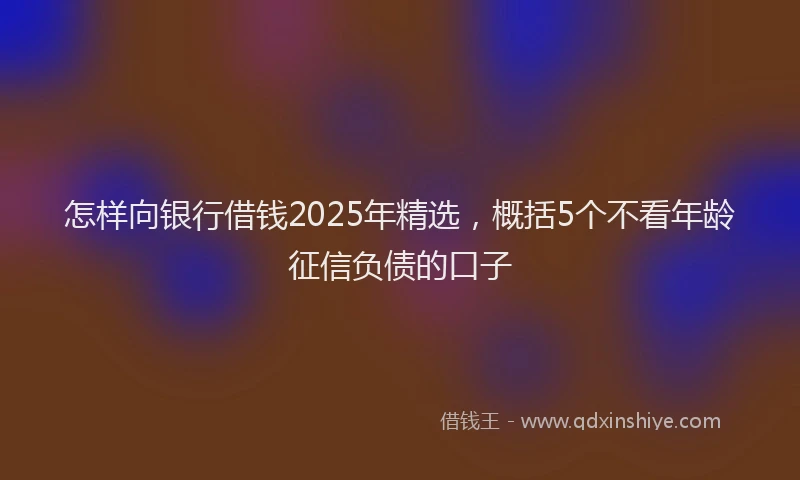 怎样向银行借钱2025年精选，概括5个不看年龄征信负债的口子