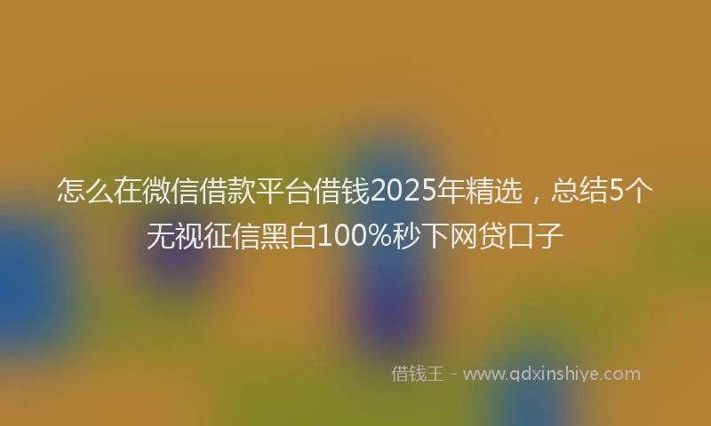 怎么在微信借款平台借钱2025年精选，总结5个无视征信黑白100%秒下网贷口子