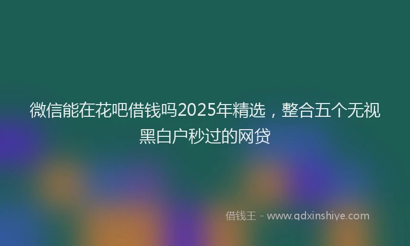 微信能在花吧借钱吗2025年精选，整合五个无视黑白户秒过的网贷