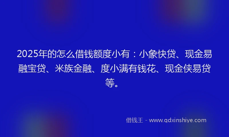 2025年的怎么借钱额度小有：小象快贷、现金易融宝贷、米族金融、度小满有钱花、现金侠易贷等。