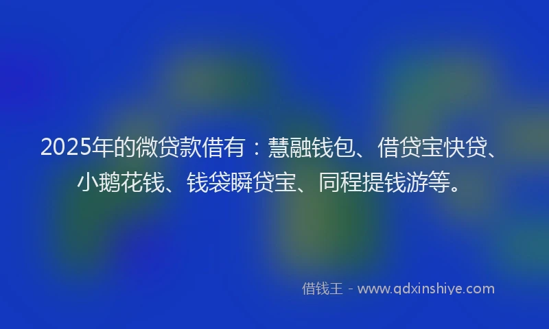 2025年的微贷款借有：慧融钱包、借贷宝快贷、小鹅花钱、钱袋瞬贷宝、同程提钱游等。