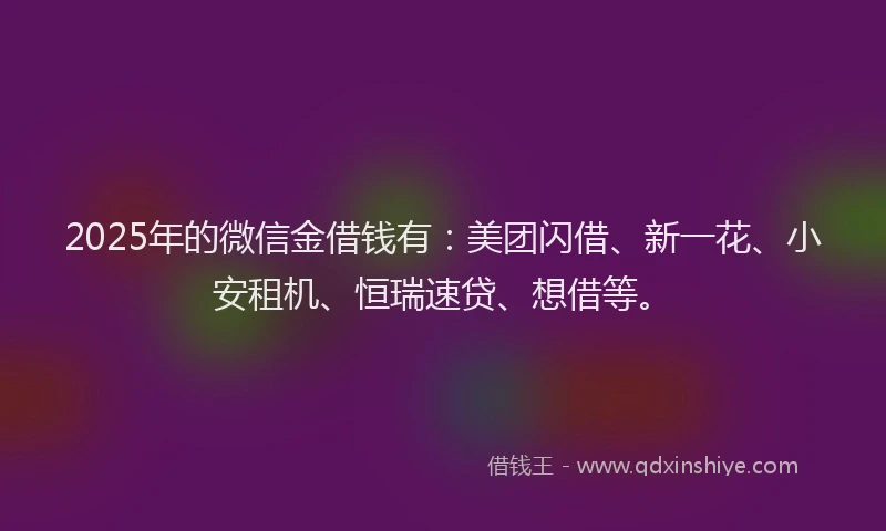 2025年的微信金借钱有：美团闪借、新一花、小安租机、恒瑞速贷、想借等。