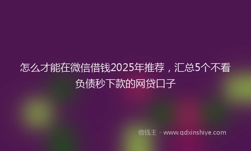怎么才能在微信借钱2025年推荐，汇总5个不看负债秒下款的网贷口子