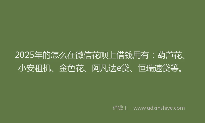 2025年的怎么在微信花呗上借钱用有：葫芦花、小安租机、金色花、阿凡达e贷、恒瑞速贷等。