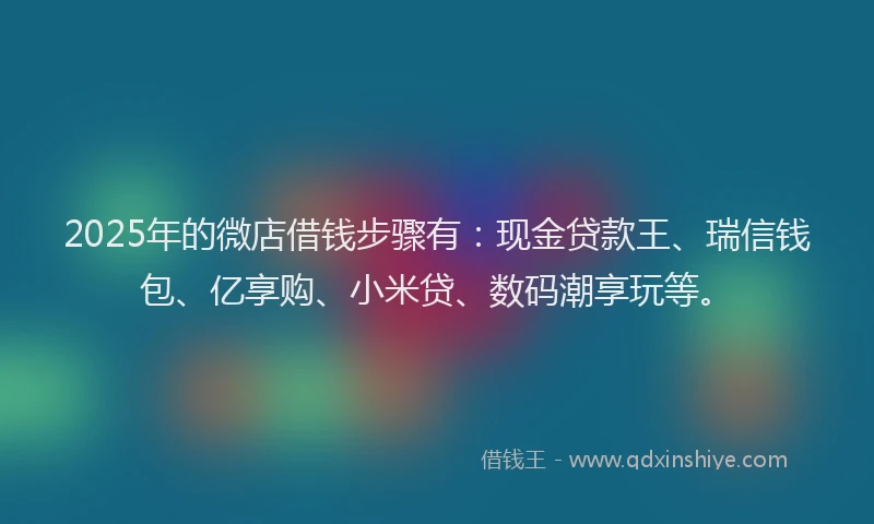 2025年的微店借钱步骤有：现金贷款王、瑞信钱包、亿享购、小米贷、数码潮享玩等。