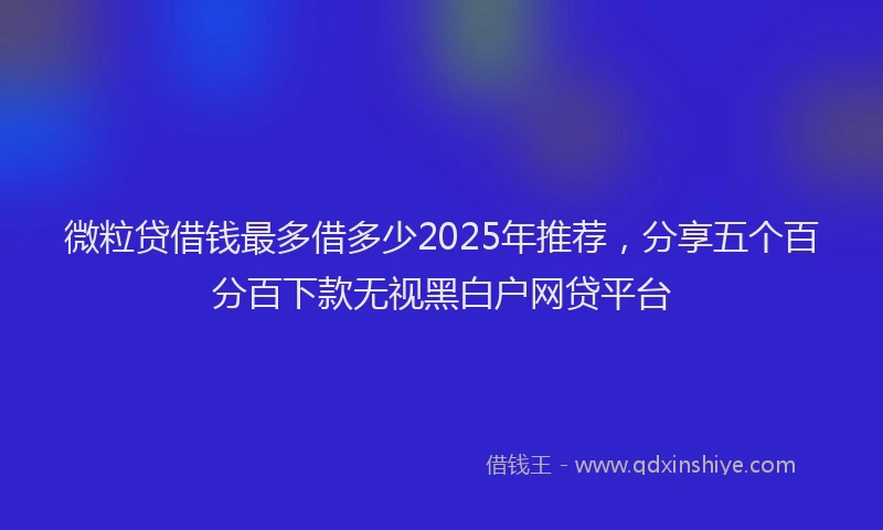 微粒贷借钱最多借多少2025年推荐，分享五个百分百下款无视黑白户网贷平台