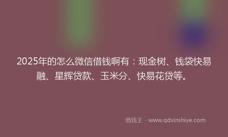 2025年的怎么微信借钱啊有：现金树、钱袋快易融、星辉贷款、玉米分、快易花贷等。