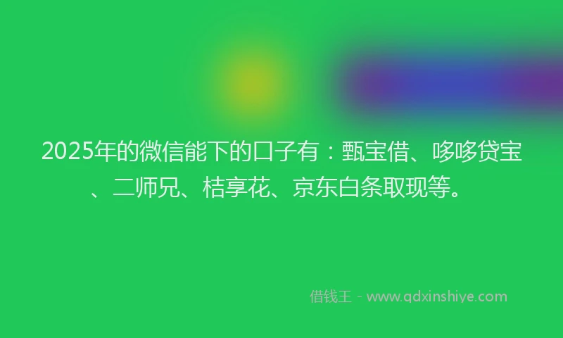 2025年的微信能下的口子有：甄宝借、哆哆贷宝、二师兄、桔享花、京东白条取现等。