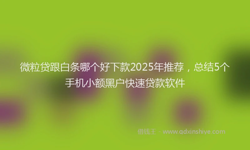 微粒贷跟白条哪个好下款2025年推荐，总结5个手机小额黑户快速贷款软件