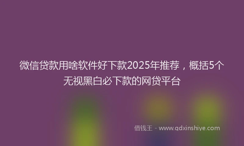 微信贷款用啥软件好下款2025年推荐，概括5个无视黑白必下款的网贷平台