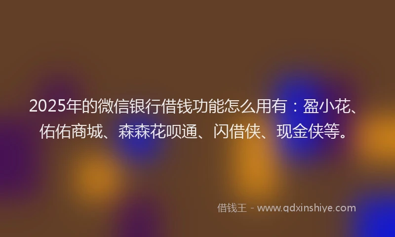2025年的微信银行借钱功能怎么用有：盈小花、佑佑商城、森森花呗通、闪借侠、现金侠等。