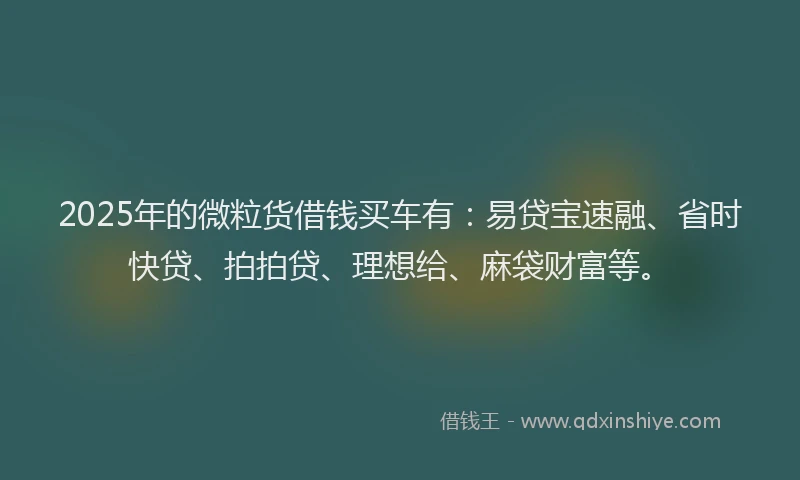 2025年的微粒货借钱买车有：易贷宝速融、省时快贷、拍拍贷、理想给、麻袋财富等。