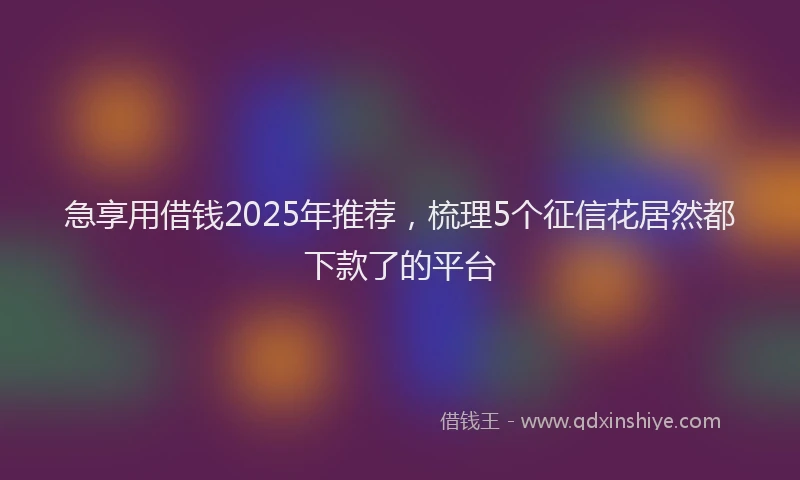 急享用借钱2025年推荐，梳理5个征信花居然都下款了的平台