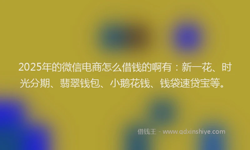 2025年的微信电商怎么借钱的啊有：新一花、时光分期、翡翠钱包、小鹅花钱、钱袋速贷宝等。