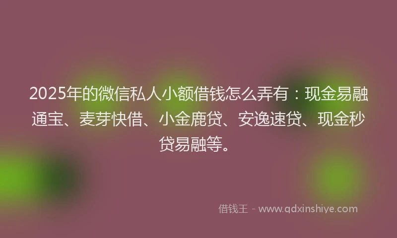 2025年的微信私人小额借钱怎么弄有：现金易融通宝、麦芽快借、小金鹿贷、安逸速贷、现金秒贷易融等。