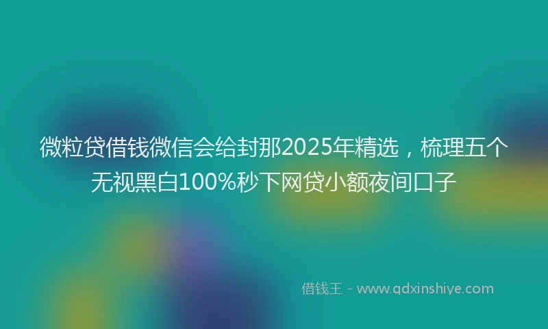 微粒贷借钱微信会给封那2025年精选，梳理五个无视黑白100%秒下网贷小额夜间口子