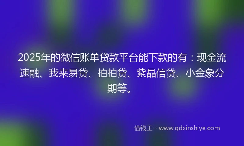 2025年的微信账单贷款平台能下款的有：现金流速融、我来易贷、拍拍贷、紫晶信贷、小金象分期等。