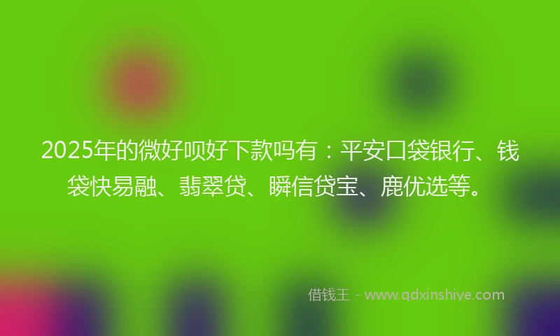 2025年的微好呗好下款吗有：平安口袋银行、钱袋快易融、翡翠贷、瞬信贷宝、鹿优选等。