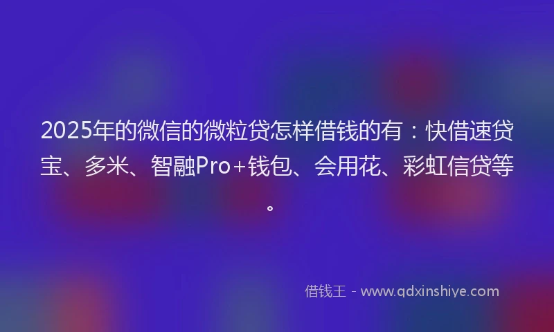 2025年的微信的微粒贷怎样借钱的有：快借速贷宝、多米、智融Pro+钱包、会用花、彩虹信贷等。