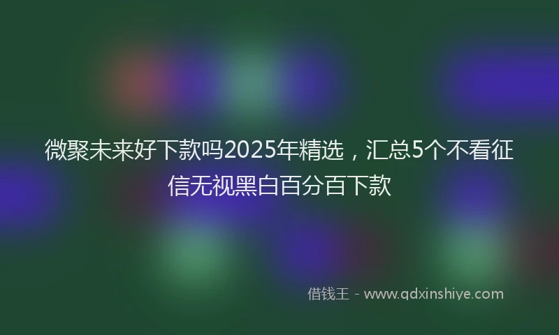 微聚未来好下款吗2025年精选，汇总5个不看征信无视黑白百分百下款