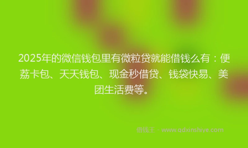 2025年的微信钱包里有微粒贷就能借钱么有：便荔卡包、天天钱包、现金秒借贷、钱袋快易、美团生活费等。
