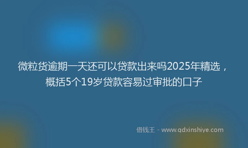 微粒货逾期一天还可以贷款出来吗2025年精选，概括5个19岁贷款容易过审批的口子
