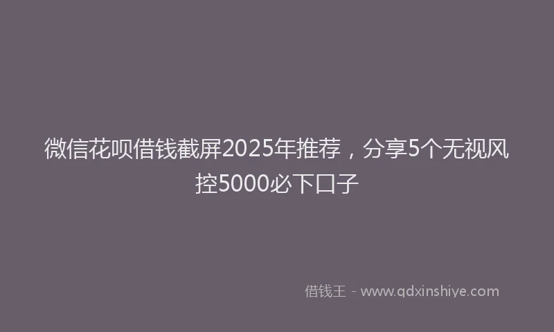 微信花呗借钱截屏2025年推荐，分享5个无视风控5000必下口子